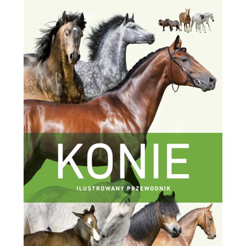 Konie. Ilustrowany przewodnik