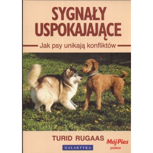 Sygnały uspokajające. Jak psy unikają konfliktów