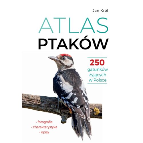 Atlas ptaków