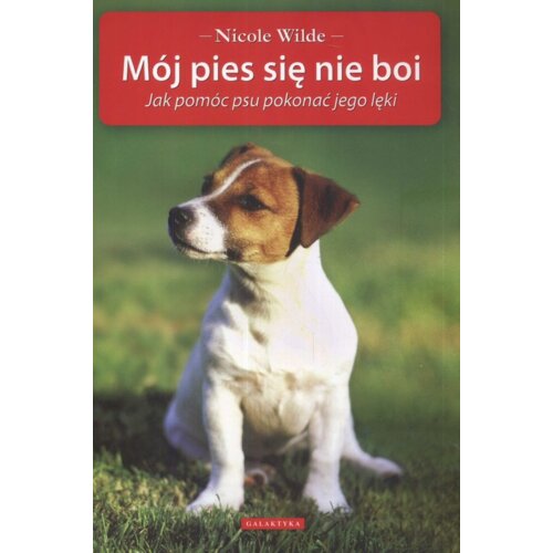Mój pies się nie boi