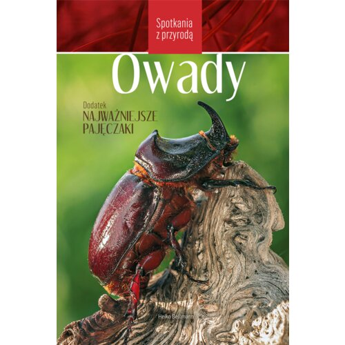 Spotkania z przyrodą. Owady