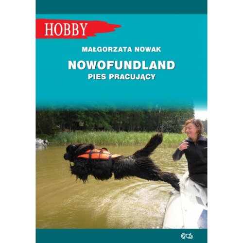 Nowofundlad. Pies pracujący