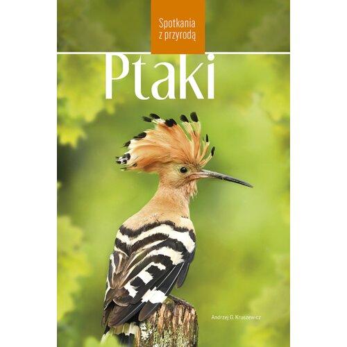 Ptaki w Polsce. Spotkania z przyrodą