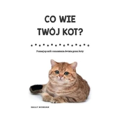 Co wie twój kot?
