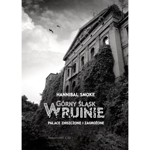 Górny Śląsk w ruinie. Pałace zniszczone....