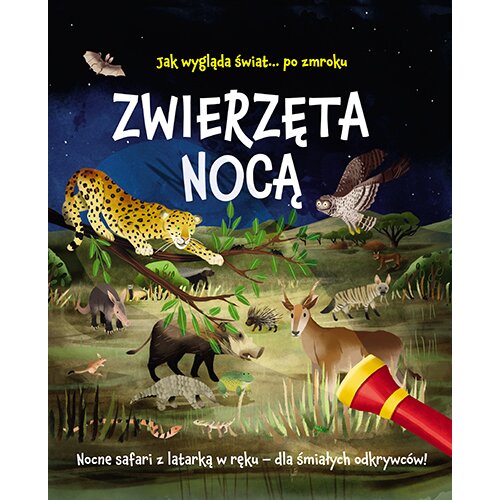 Zwierzęta nocą. Nocne safari z latarką w ręku dla śmiałych odkrywców