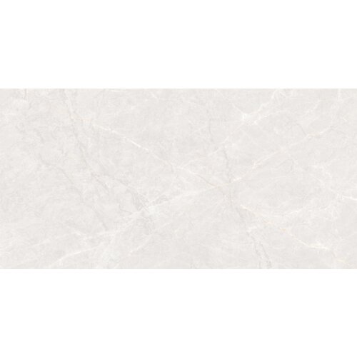 Jasna płytka podłogowo-ścienna o wymiarach 120 x 60 cm z delikatnym, marmurowym wzorem i subtelnymi żyłkami. Powierzchnia jest gładka i szkliwiona, co nadaje jej elegancki wygląd.