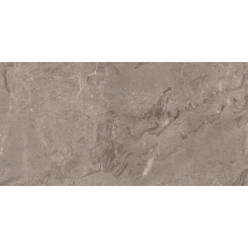 Zdjęcie przedstawia płytkę podłogowo-ścienną o wymiarach 120 x 60 cm w odcieniu taupe, z połyskiem i wzorem przypominającym naturalny kamień. Powierzchnia płytki ma delikatne żyłkowania i różnorodne odcienie brązu.