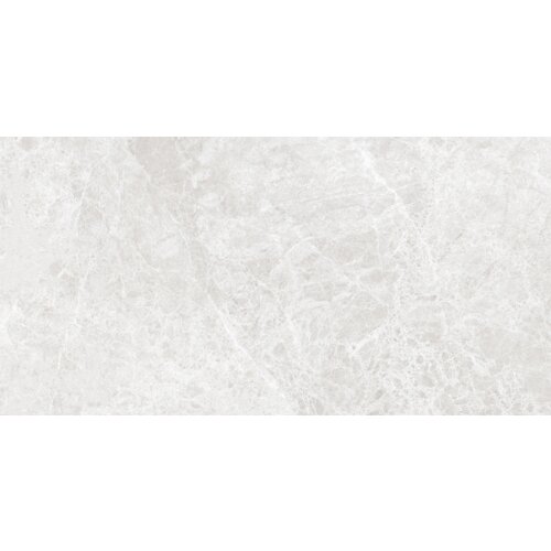 Jasnoszara płytka z połyskiem o wymiarach 120 x 60 cm, z delikatnym, marmurowym wzorem i subtelnymi żyłkami. Produkt to "Mexen Lizard Silver gres szkliwiony rekt. G1, płytka podłogowo-ścienna 120 x 60 cm, połysk - TL109-120-060-03".