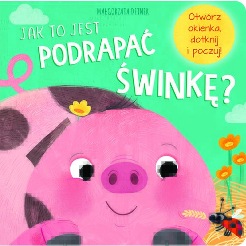 Jak to jest podrapać świnkę?