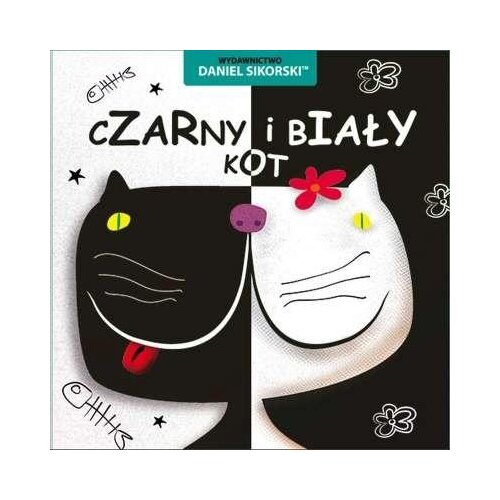 Czarny i biały kot