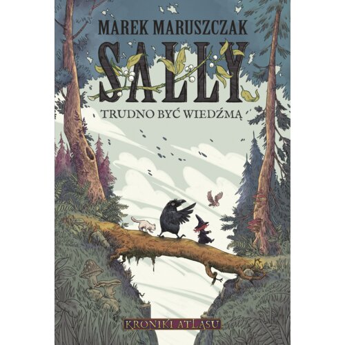 Sally. Trudno być wiedźmą Marek Maruszczak