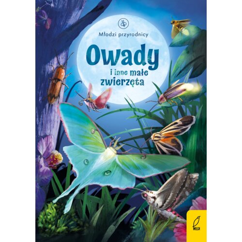Owady i inne małe zwierzęta. Młodzi Przyrodnicy Emily Bone