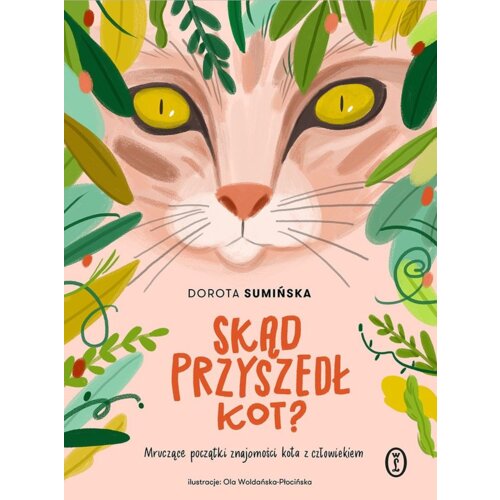 Skąd przyszedł kot? Dorota Sumińska