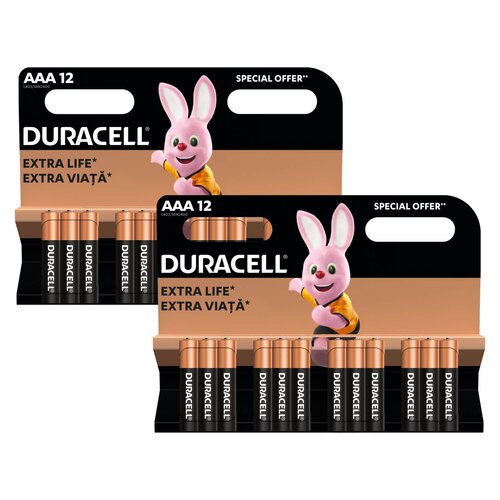 Baterie AAA LR3 DURACELL Basic (24 szt.)
