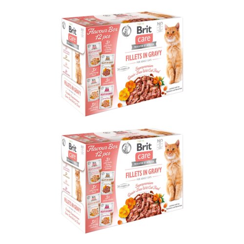 Karma dla kota BRIT CARE Fillets in Gravy Flavour box pouch 24 x 85 g