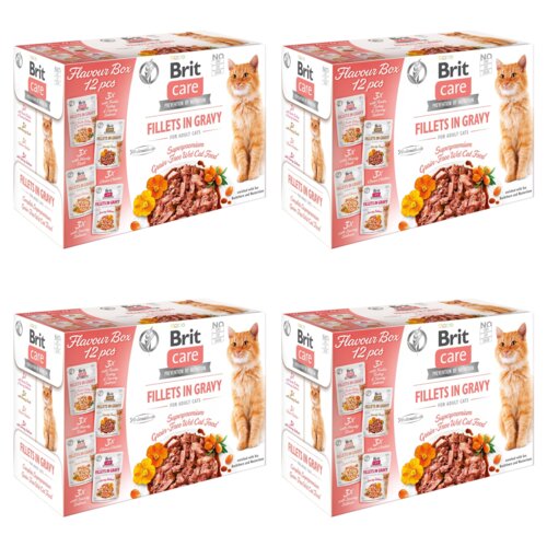Karma dla kota BRIT CARE Fillets in Gravy Flavour box pouch 48 x 85 g