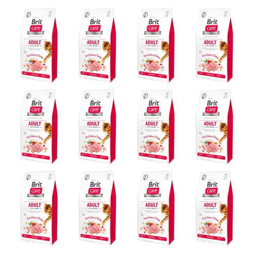 Karma dla kota BRIT CARE Grain-Free Adult Indyk i Kurczak 12 x 2 kg