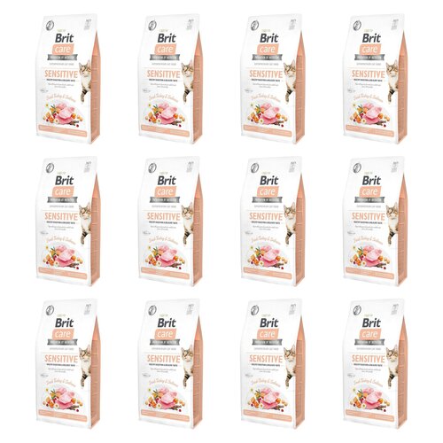 Karma dla kota BRIT  CARE Grain Free Sensitive Indyk i Łosoś 12 x 2 kg