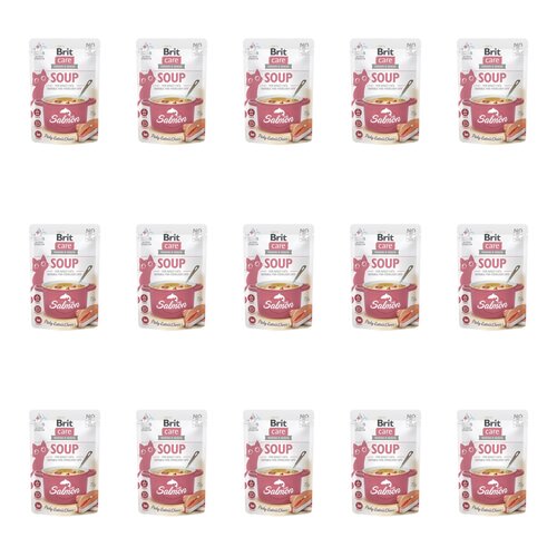 Karma dla kota BRIT CARE Soup z łososiem 15 x 75 g