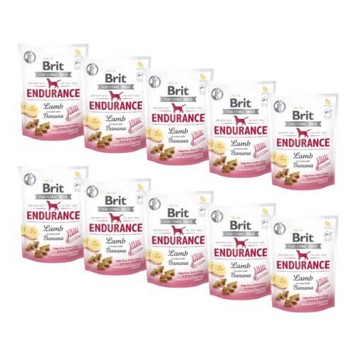 Brit Care Dog Functional Snack ENDURANCE Lamb 10 x 150 g