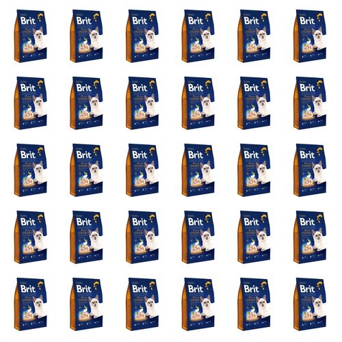 Karma dla kota BRIT Premium By Nature Indoor Kurczak 30 x 300 g