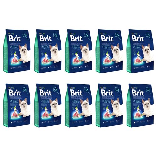 Karma dla kota BRIT Premium By Nature Sensitive Jagnięcina 10 x 300 g