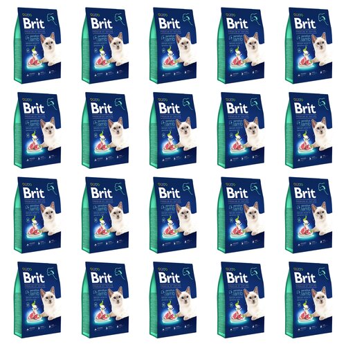 Karma dla kota BRIT Premium By Nature Sensitive Jagnięcina 20 x 300 g