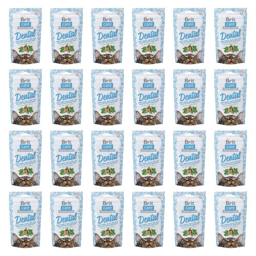 Przysmak dla kota BRIT CARE Snack Dental 24 x 50 g