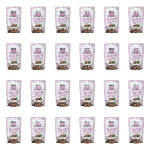 Przysmak dla kota BRIT CARE Urinary 24 x 50 g