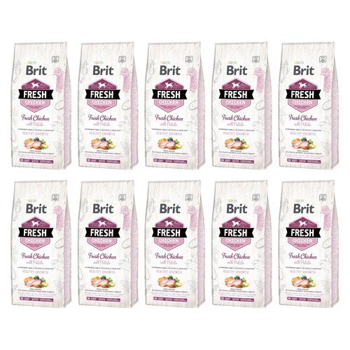 Karma dla psa BRIT Fresh Puppy Chicken & Potato 10 x 2.5 kg