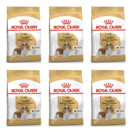 Karma dla psa ROYAL CANIN BHN Cavalier King Charles Adult 6 x 1.5 kg