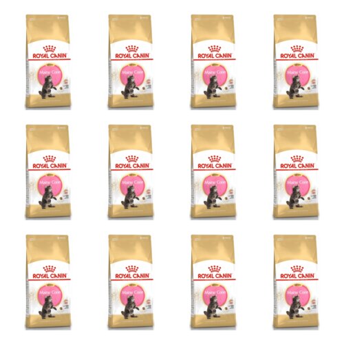 Karma dla kota ROYAL CANIN Kitten Maine Coon 12 x 400 g