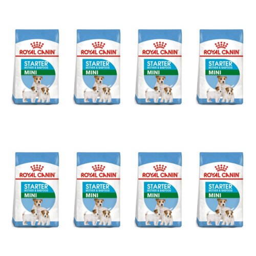 Karma dla psa ROYAL CANIN Mini Starter M&B 8 x 4 kg