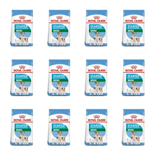 Karma dla psa ROYAL CANIN Mini Starter M&B 12 x 4 kg