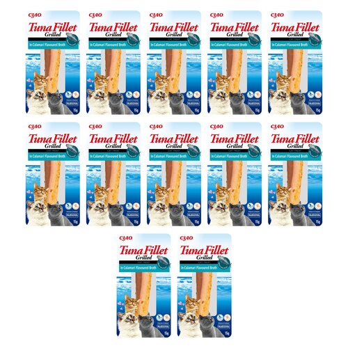 Przysmak dla kota INABA Filet z tuńczyka w bulionie z kalmarów 12 x 15 g