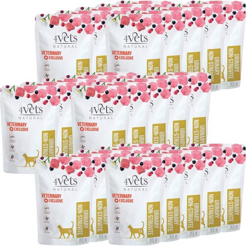 Karma dla kota 4VETS NATURAL Urinary Non-struvite 30 x 85 g