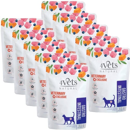 Karma dla kota 4VETS NATURAL Gastro Intestinal 10 x 85 g