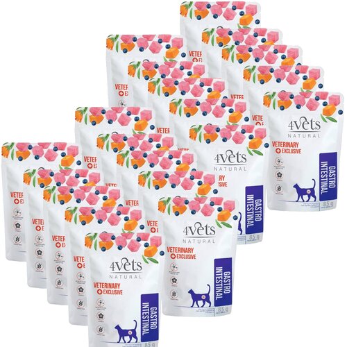 Karma dla kota 4VETS NATURAL Gastro Intestinal 20 x 85 g