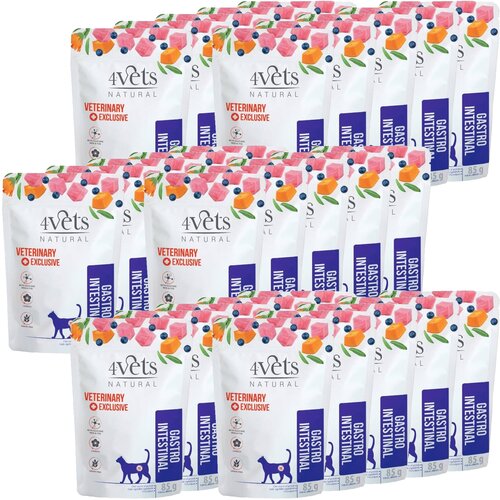 Karma dla kota 4VETS NATURAL Gastro Intestinal 30 x 85 g