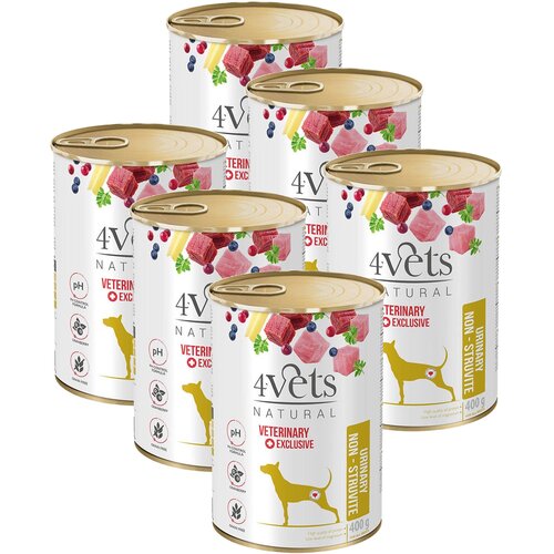 Karma dla psa 4VETS NATURAL Urinary Non Struvit Dog 6 x 400 g