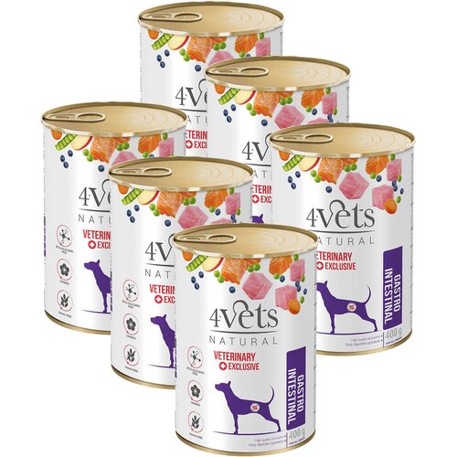 Karma dla psa 4VETS NATURAL Gastro Intenstinal Dog 6 x 400 g