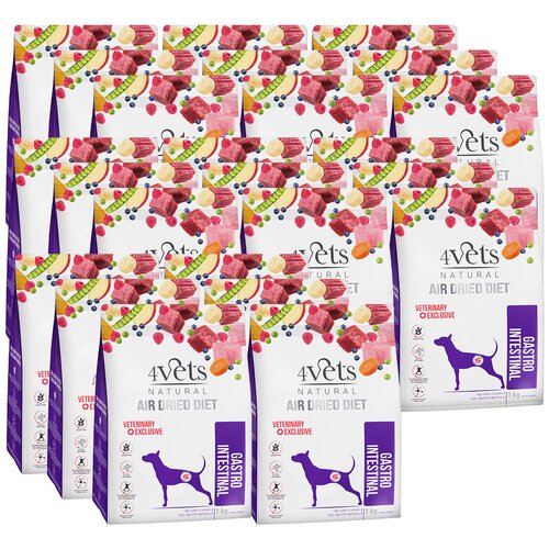 Karma dla psa suszona 4VETS NATURAL Gastro Intestinal 24 x 1 kg