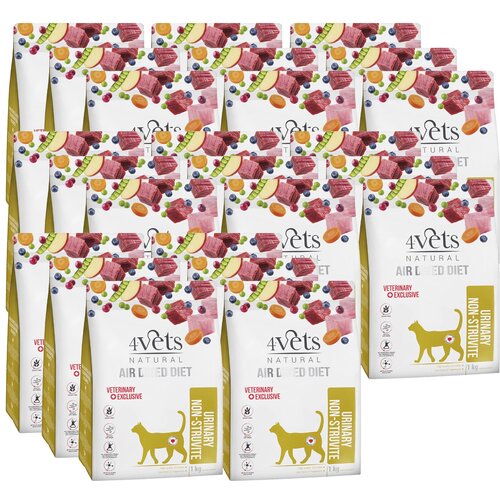 Karma dla kota suszona 4VETS NATURAL Urinary Non-struvite 24 x 1 kg