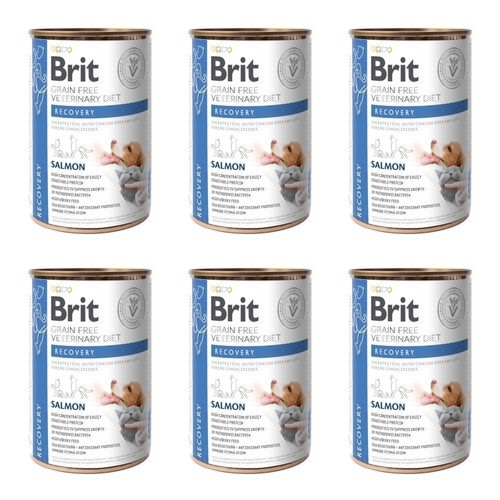 Karma dla psa BRIT Grain Free Veterinary Diets Dog & Cat Recovery Łosoś 6 x 400 g