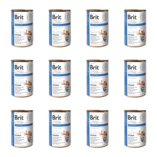 Karma dla psa BRIT Grain Free Veterinary Diets Dog & Cat Recovery Łosoś 12 x 400 g