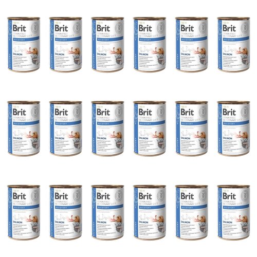 Karma dla psa BRIT Grain Free Veterinary Diets Dog & Cat Recovery Łosoś 18 x 400 g