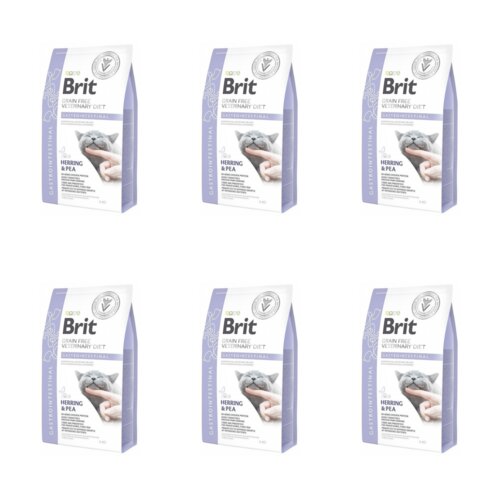 Karma dla kota BRIT Grain Free Veterinary Diets Cat Gastrointestinal 6 x 2 kg