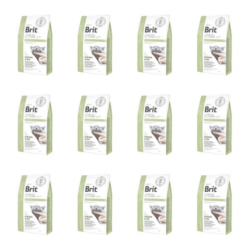 Karma dla kota BRIT Grain Free Veterinary Diets Cat Diabetes 12 x 2 kg
