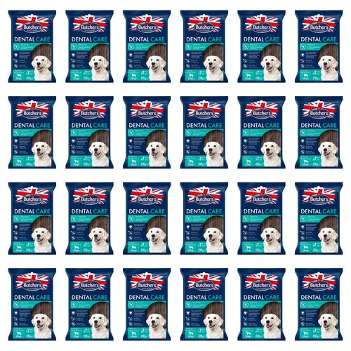 Przysmak dla psa BUTCHER'S Dental Care Large 24 x 270 g